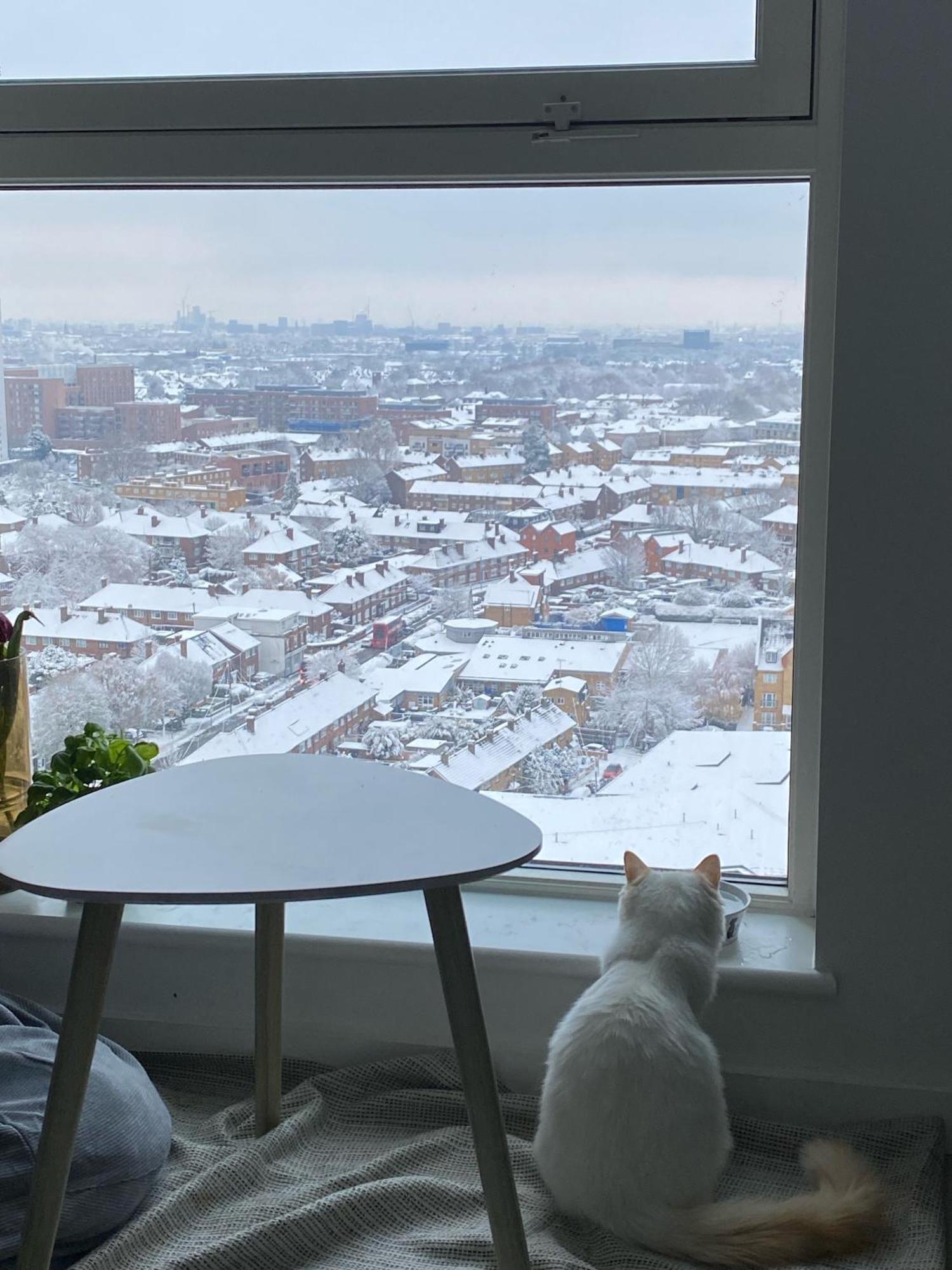 شقة Cozy Flat With Stunning Views لندن المظهر الخارجي الصورة